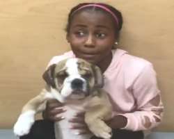 Her love for animals could be seen through the posts she shares on Instagram.